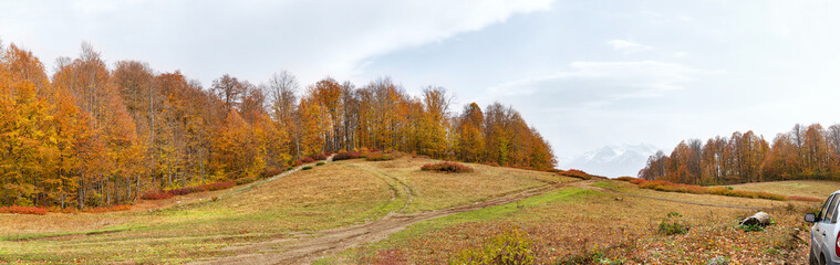 Fototapeta premium Majestic autumn panoramic view in the mountains landscape, car on the road