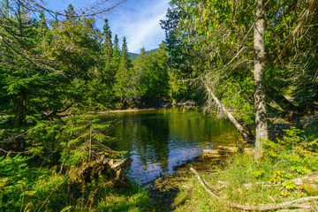Fototapeta na wymiar Sainte-Anne-du-Nord River, in Gaspesie National Park