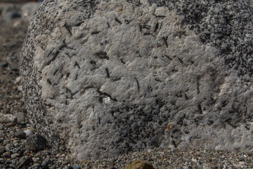 Hornblende