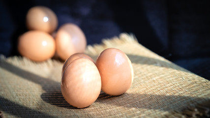 Chicken eggs with a black background, chicken eggs with natural light, chicken eggs are the food that every home needs, chicken eggs are very useful and protein.