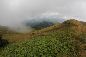 Carpathians, mountains