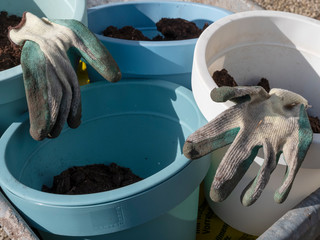 Gardening gloves lie on flower pots with soil in wheelbarrow in spring. Close-up