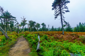 Benjie Lake Trail, in Cape Breton Highlands National Park