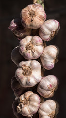 Close-up of a string of garlic at a street market in Vitoria-Gasteiz, Basque Country, Spain