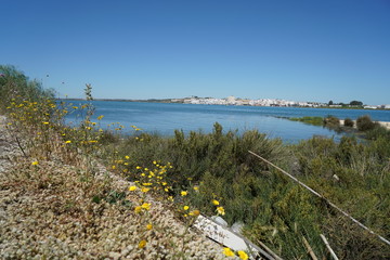 This is the border river between the Spanish Andalusia and the Portuguese Algarve shortly before...