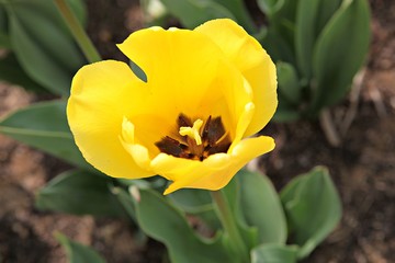 한국 경기도 시흥시 시흥갯골생태공원 입니다