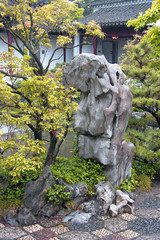 Rock in a Chinese garden. Rocks symbolise  the mythical mountain where the Taoist immortals live