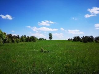 łąka i niebo © Sylwia