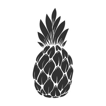illustration of pineapple in engraving style. Design element for poster, label, sign, emblem, menu. Vector illustration