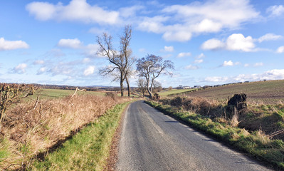 Fife Coastal Path from Kincardine to Rosyth - Scotland - UK