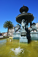 Fototapeta na wymiar Lion's Fountain, Praca de Gomes, Porto, Douro Province, Portugal