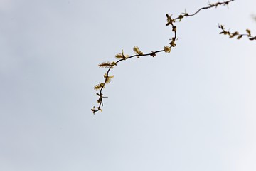 한국 경기도 시흥시 시흥갯골생태공원 입니다