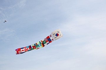 한국 경기도 시흥시 시흥갯골생태공원 입니다
