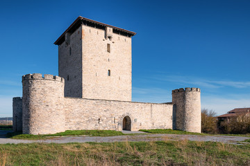 Fototapeta na wymiar View of Mendoza Castle/Mendoza Tower near Vitoria-Gasteiz, Alava, Basque Country, Spain