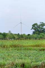 View of windmill behind an agricultural land in Tamil Nadu, on the way from Palani to Salem by road