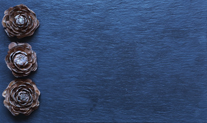 Photography of cedar cones on slate for announcement background