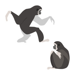 Two white-handed gibbons. Illustration of walking and sitting gibbons drawn in a flat style. Isolated objects on a white background. Vector 8 EPS