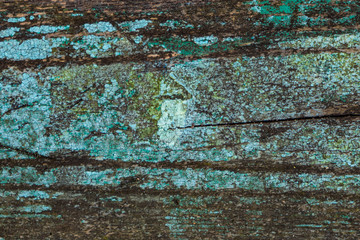 Naklejka premium selective focus, old wooden Board in blue paint