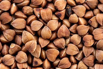 buckwheat brown seeds on a black background top view