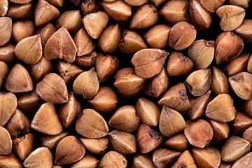 buckwheat brown seeds on a black background top view