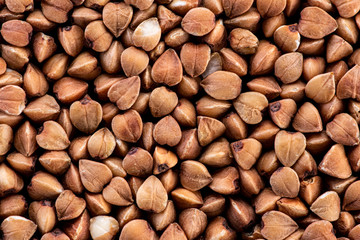 buckwheat brown seeds on a black background top view