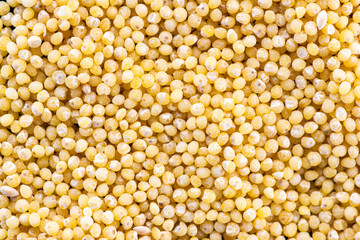 millet round yellow seeds on a black background