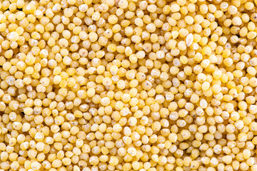 millet round yellow seeds on a black background
