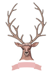 Vector linear pastel colored sketch of beautiful light brown deer with big horns and beautiful eyes and pink ribbon banner with empty place for your text