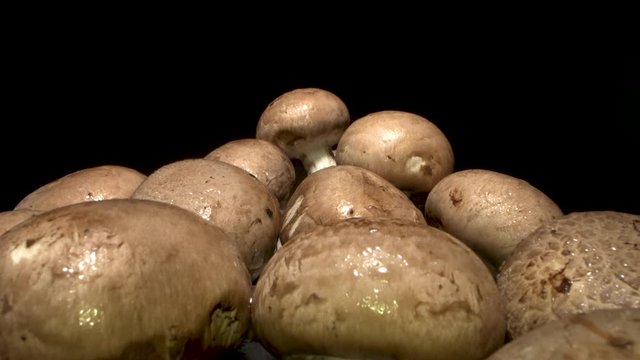 A macro shot of brown mushrooms. Paris mushrooms on a board. Macro slider shot.