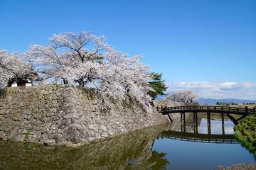 松代城の桜