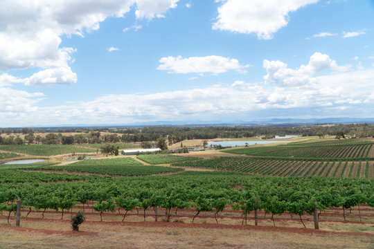 Hunter Valley Wine Region Australia. DRONE Aerial View. Vineyards Growing Grapes For Red Wine. Green Rolling Hills. Dramatic Landscape. Viticulture, Scenic, Drinking, Growing Concepts.