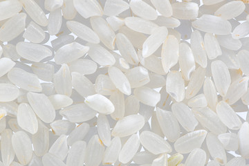 round grain peeled seeds on a white background top view