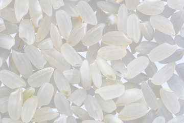 round grain peeled seeds on a white background top view