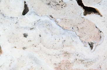 Marble Tiles texture wall marble background