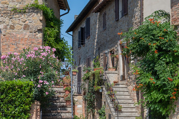 Fototapeta na wymiar stairs with pots of red flowers on the street in village in Tuscany