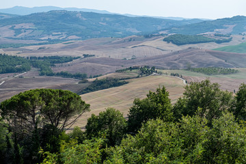 Fototapeta na wymiar tipical Tuscan landscape with meadows and trees on a sunny summer day, Italy