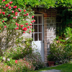 Riser le long d'un mur dans un petit jardin fleuri.
