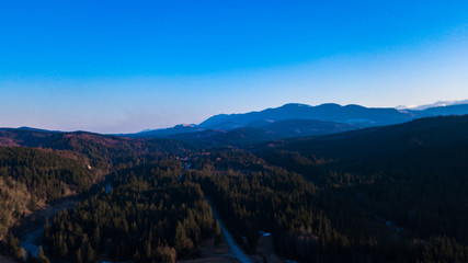 Carpathian mountains landscape pine forest needles aerial photography.