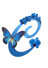 blue letter with orchid and butterfly