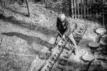 Senior farmer working with a hoe in his vegetable garden. Black and white picture