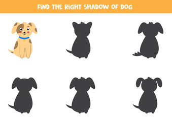 Find the correct shadow of cute dog. educational worksheet.