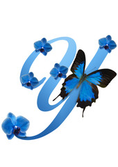 blue letter with orchid and butterfly