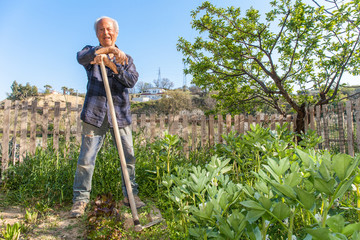 Portrait of smiling senior farmer  with a hoe in his vegetable garden