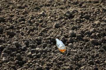 Flasche Getränkeflasche Glasflasche auf einem Feld