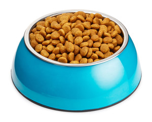 Blue bowl with pet food, isolated on white background