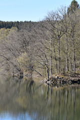 Germany, sea landscape springtime
