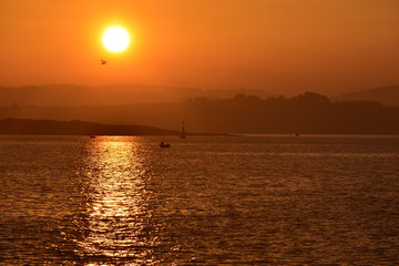 beautiful orange sunset over the sea