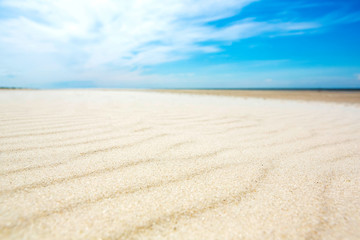 Fototapeta na wymiar Idyllic sunny day on abandoned white sand beach.