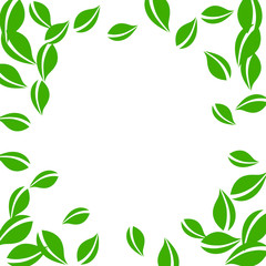Falling green leaves. Fresh tea neat leaves flying