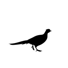 bird icon vector